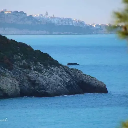 Σπίτι διακοπών Villaggio Gargano 31 - #126756